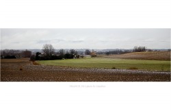 dailyPhoto1