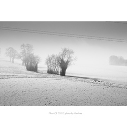 dailyPhoto31