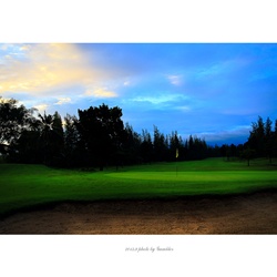dailyPhoto3