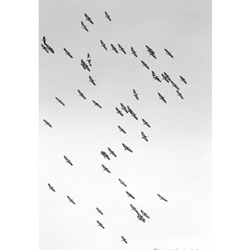 dailyPhoto9