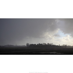 dailyPhoto35
