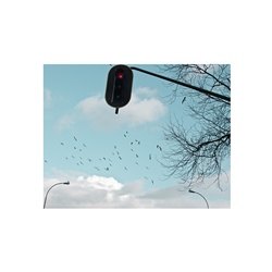 dailyPhoto28