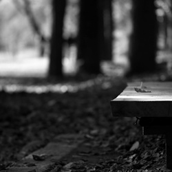 dailyPhoto4