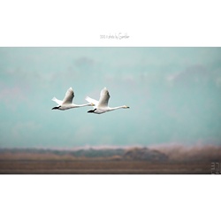 dailyPhoto11