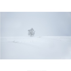 dailyPhoto4