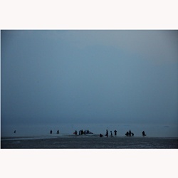 dailyPhoto40