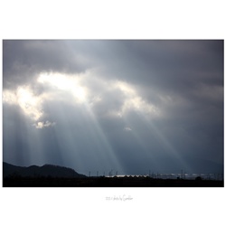 dailyPhoto33