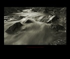 dailyPhoto32