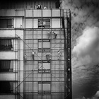 dailyPhoto21