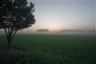 dailyPhoto25