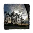 dailyPhoto11