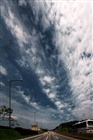 dailyPhoto39