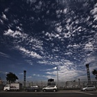 dailyPhoto3