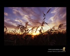 dailyPhoto8