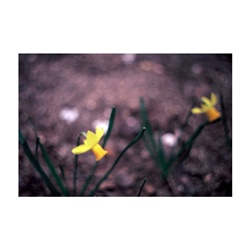 dailyPhoto7