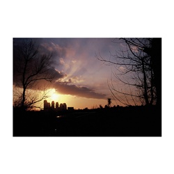 dailyPhoto39