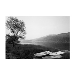 dailyPhoto5