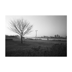 dailyPhoto3