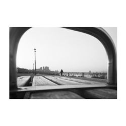 dailyPhoto15