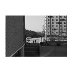 dailyPhoto15