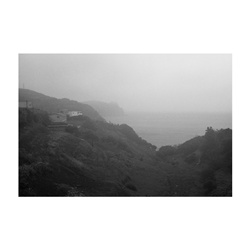dailyPhoto9