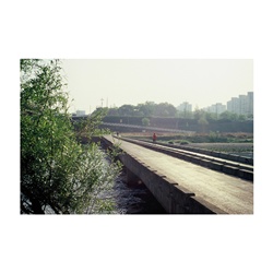 dailyPhoto17