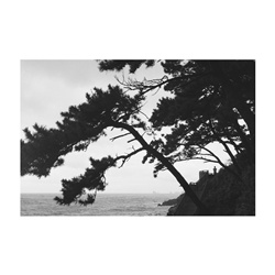 dailyPhoto32