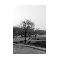 dailyPhoto40