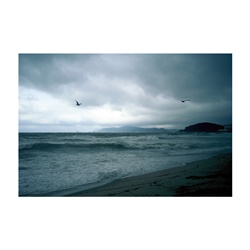 dailyPhoto1