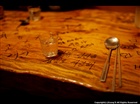 dailyPhoto8