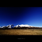 dailyPhoto35