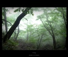 dailyPhoto15