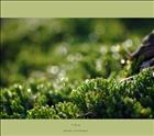 dailyPhoto21