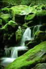 dailyPhoto26