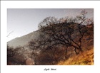 dailyPhoto4