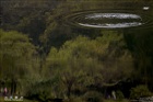 dailyPhoto32