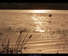 dailyPhoto40