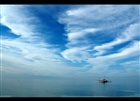 dailyPhoto10