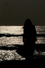 dailyPhoto24