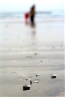 dailyPhoto10
