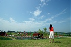 dailyPhoto10