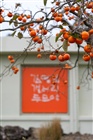 dailyPhoto4