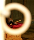 dailyPhoto10