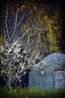 dailyPhoto5