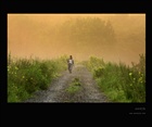 dailyPhoto14