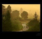 dailyPhoto6