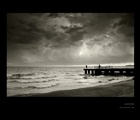 dailyPhoto1