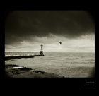 dailyPhoto6
