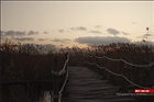 dailyPhoto33