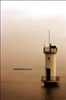dailyPhoto30